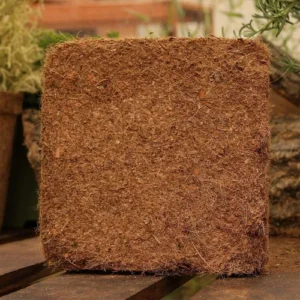 Cocopeat Block (5kg)